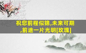 祝您前程似锦,未来可期,前途一片光明[玫瑰]